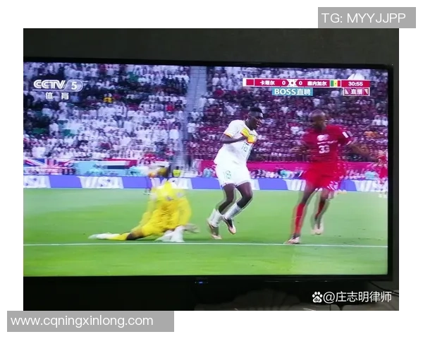 韩国与塞内加尔比赛直播频道及观看指南详解